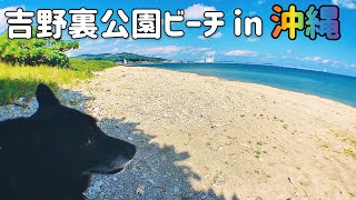 【沖縄ビーチ #6】吉野浦公園ビーチで愛犬とお散歩　[Okinawa] \