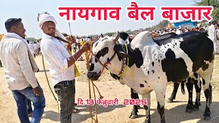 🌎 दि.13 फेब्रुवारी 2025 || Naigaon bail bazar || नायगाव बैल बाजार, जिल्हा नांदेड