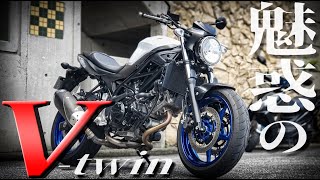 4気筒好きが2気筒沼へ引き込まれそうになる動画　(低身長によるSUZUKI SV650 試乗インプレ)