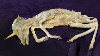 Creepiest Discoveries Made Underground
