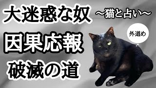 【因果応報】タロット占い💣迷惑極まりない相手が辿る破滅の道とは？💀予言力がすごいルノルマンとルーン