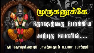 முருகனுக்கு தோஷத்தை போக்கிய கோவில் நம் தோஷத்தையும் பாவத்தையும் உடனே போக்கி செல்வ முன்னேற்றத்தை தரும்