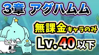 宇宙編3章 - アグハムム　本能なし\u0026無課金キャラのみ・レベル40以下で簡単攻略【にゃんこ大戦争】