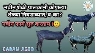 #KADAMAGRO #शेळी पालकांनी कोणत्या  शेळ्या निवडाव्यात, व का फायदे /नुकसान,#शेळी, #उस्मानाबादी