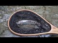 【九州テンカラ釣り旅】ヤマメがたくさんいる渓流を求めて.....【耳川＃1】tenkara fishing in miyazaki