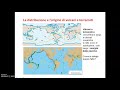 DISTRIBUZIONE DI VULCANI E TERREMOTI