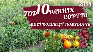 🍅🍅🍅  10 сортів помідорів   самих ранніх в 2024  році🍅🍅🍅