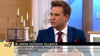 Anders Pihlblad: "SD ett toppstyrt parti" - Nyhetsmorgon (TV4)