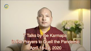 7 Talks in English by Karmapa in Prayers to Quell the Pandemic