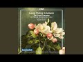 Concerto for Recorder & Viola da Gamba in A Minor, TWV 52:a1: IV. Allegro