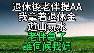 退休後老伴提AA，我拿著退休金遊山玩水，老伴急了：誰伺候我媽？【花好月圓心語】