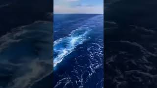 Safety for pirates attack | When pirates attack on ships #shorts #merchantnavy #pirates #attack