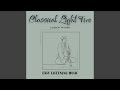 Hushed Harmonies