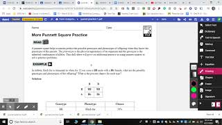 Punnett Square Practice Instruction Video