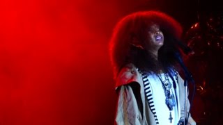 The Roots And Erykah Badu Live Concert Roots Picnic Philly 2015