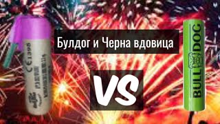 Тест на пиратки🧨 BIG BANG vs ЧЕРНА ВДУВИЦА 🧨