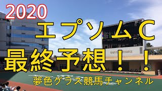 【最終予想】2020エプソムカップ！相当な馬場悪化により穴馬より馬券は広げて？ブリンカー効果感じる本命馬に。