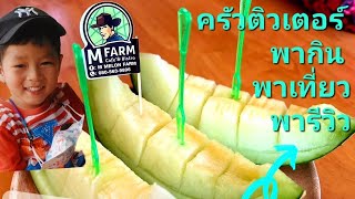 พาชมคาเฟ่เมล่อน | M Melon farm | เมล่อนหอมๆ | ปลาช่อน ปลาดุก ตัวโตๆ | บรรยากาศชิวๆ รับรองฟินแน่นอน