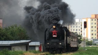 Vlaky Slovensko - Ušatou 464.001 na pravniansky jarmok 2013