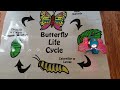 ButterflyLifeCycle Junior Engineers