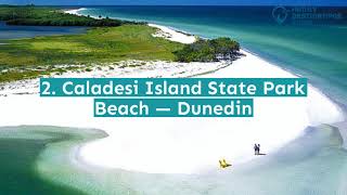12 Best Beaches in St Petersburg, FL