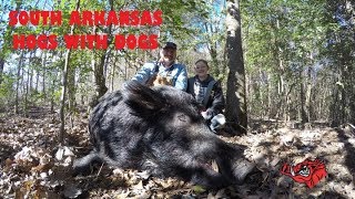 South Arkansas Hogs with Dogs