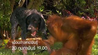 ช่องสารคดี | Highlight ช่อง 56 Animal Show HD ที่ Good TV