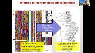 Lecture21 - Evolution - MLCB24