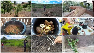 plantando sementes de melão,abóbora+feijão+fiz almoço e minha mãe almoçou conosco+...