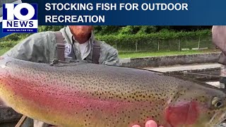 Stocking fish for outdoor recreation