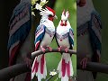 Radiant Raptors Birds of Prey That Captivate #ai #nature #birdslover #shorts