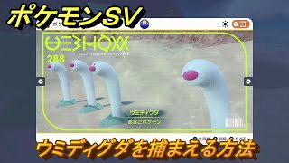 ポケモンＳＶ　ウミディグダを捕まえる方法！出現場所は？図鑑No.２８８　ポケモン図鑑を埋めよう！　【スカーレット・バイオレット】