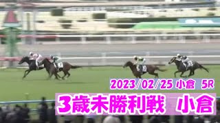 2023/02/25【パドック返し馬つき】小倉5R　３歳未勝利戦　　☆コイニョウボウ　キズナ　＃レースは10分ころから