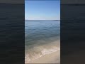 seagull frolicking in the surf and waves on the swan river perth