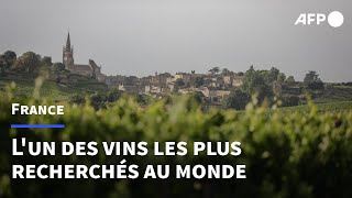 Vin: Saint-Emilion, le classement de la discorde | AFP