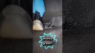 (Mobile Detailing) Bissel Spot Clean Pro