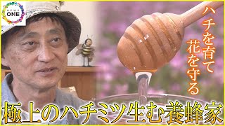 レンゲ畑をミツバチ飛び交う…花の甘みと香りが詰まった“極上ハチミツ” ハチを育て花を守る養蜂家の手仕事