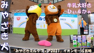 [みやざき犬]『みやざきミルクフェア2021』イオンモール宮崎  ひぃくん＆かぁくん　ヒナタテラスステージ