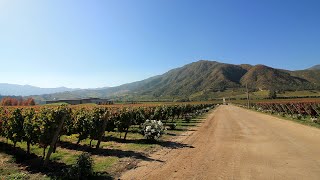 【旅エイター旅行記・0200】★南米・チリの旅・サンタクルス『アパルタ・ワイナリー』・一人旅