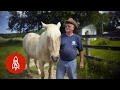 A Blind Horse and His Best Friend