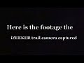 izeeker trail camera ig600