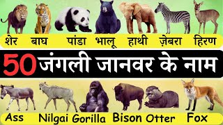 50 जंगली जानवर के नाम | Wild Animals Name | Wild Animals Vocabulary | Jangli Janwar Ke Naam Hindi me