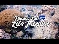 Ujian Open Water AIDA 2 | Freediving - Let's Freedive