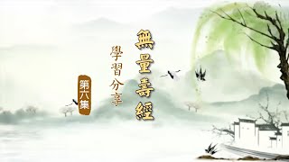 《無量壽經》學習分享 第6集｜直心是道場，無虛假故 成德法師主講