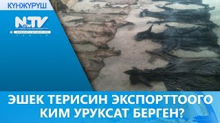 ЭШЕК ТЕРИСИН ЭКСПОРТТООГО КИМ УРУКСАТ БЕРГЕН?