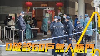 麗港城兩座460人強檢0確診 60戶無人應門