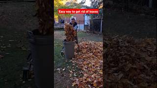 Easy way to get rid of leaves by mulching them with a mower #leaves #yardwork #lawncare #landscaping