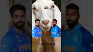 Ravindra Jadeja VS Hardik Pandya ODI Comparison #jadeja #hardik #only #batting