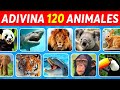 Adivina 120 ANIMALES en 3 Segundos | Fácil, Medio, Difícil, Imposible