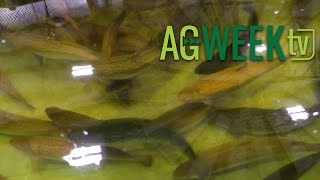 AgweekTV 01/07/23 S09E01